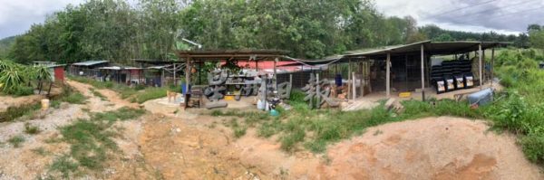 供fb：合约逾期加上周遭发展影响 | MyKebun流浪狗收容所筹款搬迁