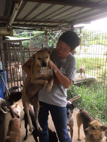 供fb：合约逾期加上周遭发展影响 | MyKebun流浪狗收容所筹款搬迁