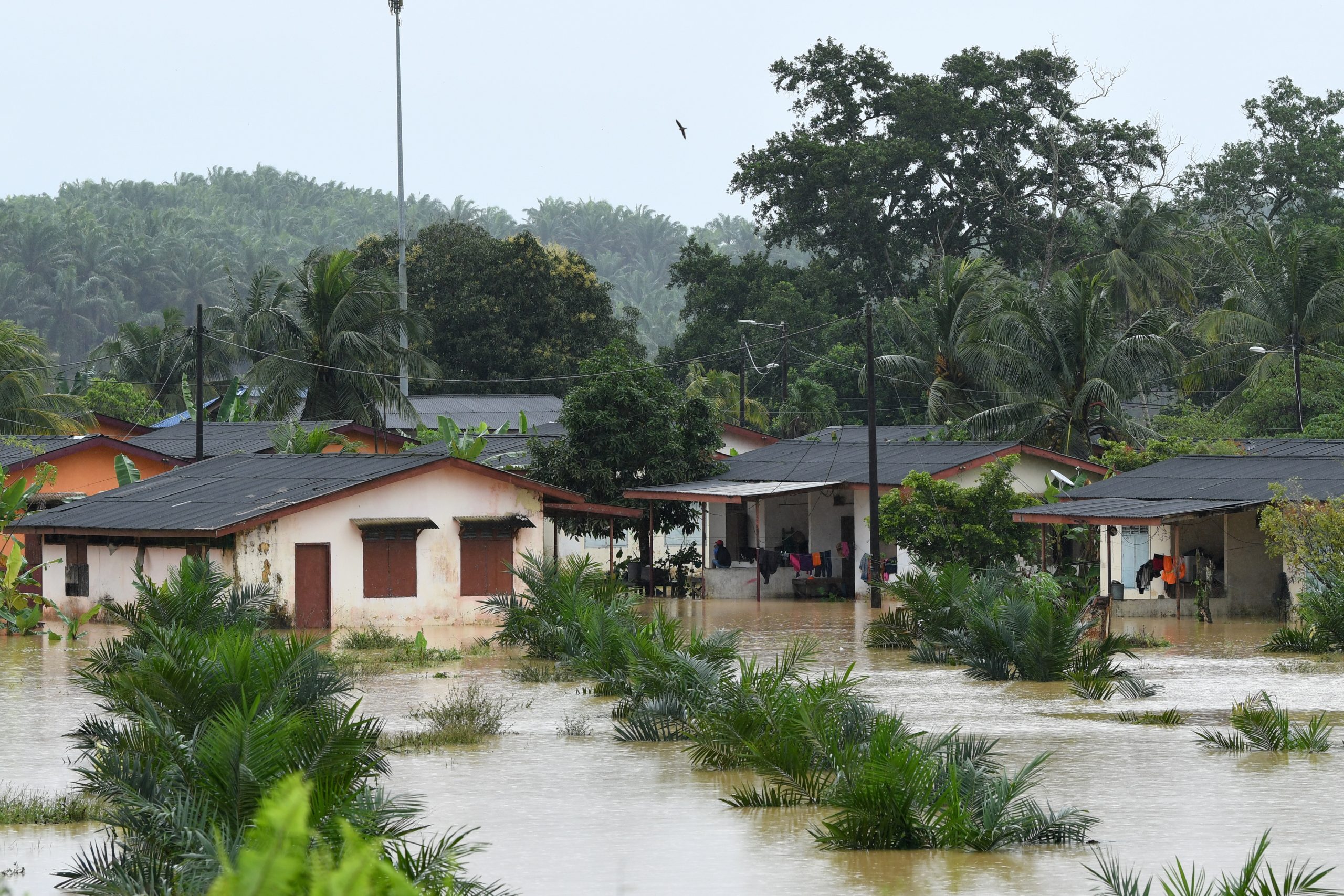 全:大雨下不停,登州水灾灾情恶化,至今5个县沦陷成为灾区,共有2598人受影响,暂时撤离家园到疏散中心。