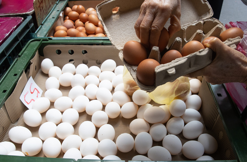 台湾/闹鸡蛋荒价格升幅扩大至18.38% 创近3年新高