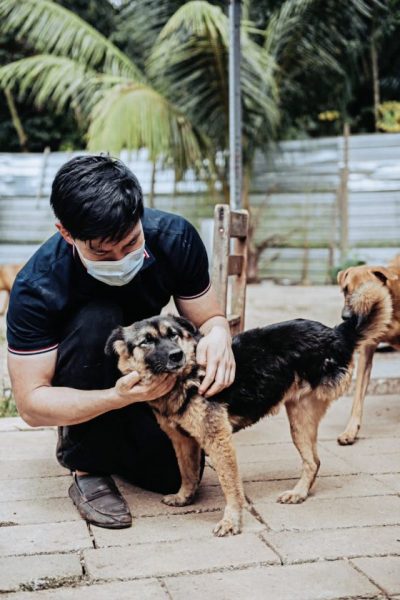 后腿受重伤还要交配生产，狗妈妈截肢重获新生