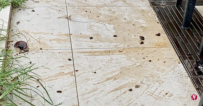 听见“多少”以为六旬妻被“问价” 男子怒拿酒瓶砸伤人