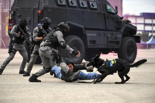 国家元首观看警方的反恐表演