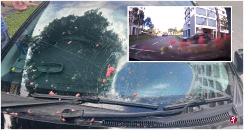 大西瓜从天降砸破车镜 司机吓到 警取瓜皮验指纹