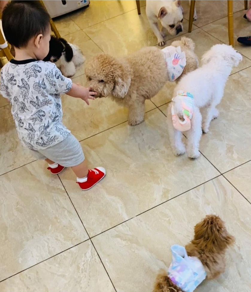 大都会:电访咖啡馆人潮/7图