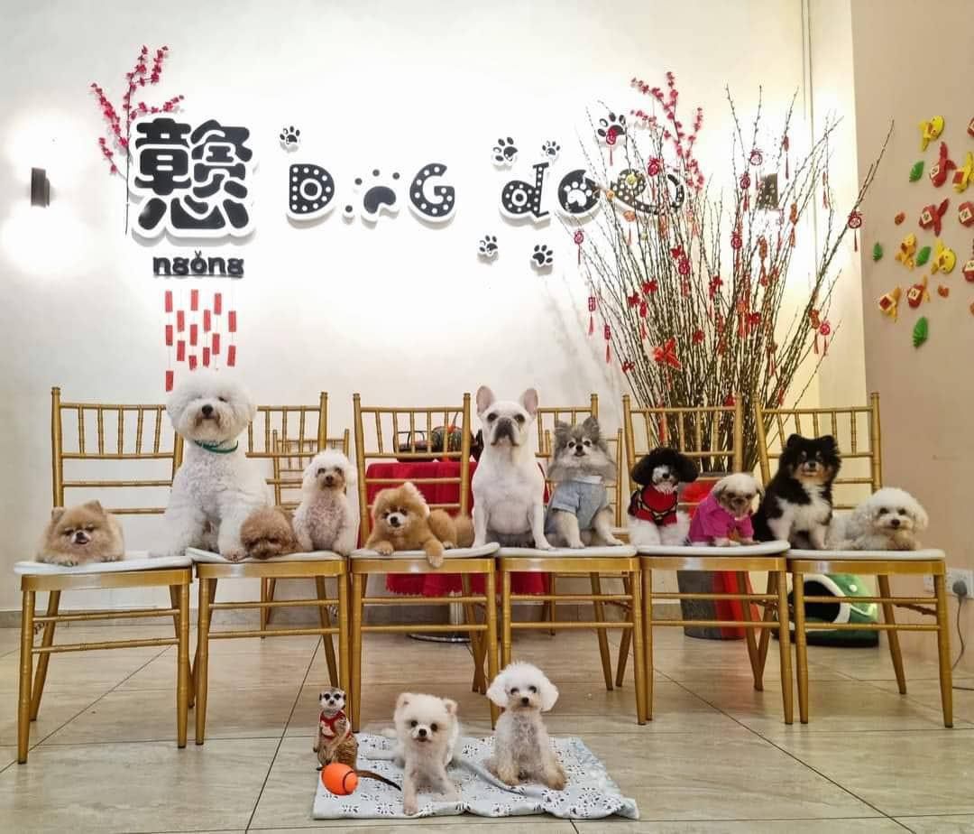 大都会:电访咖啡馆人潮/7图