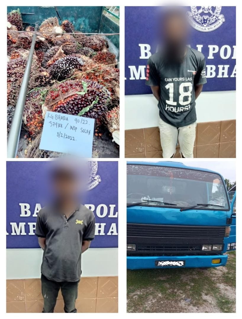 大霹雳时事焦点/曼绒警方捕5嫌犯 疑涉至少10宗偷割油棕果