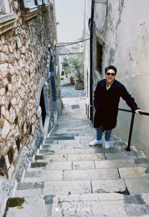 奈尔@1D狂呕惹染疫疑云  引发机上乘客恐慌