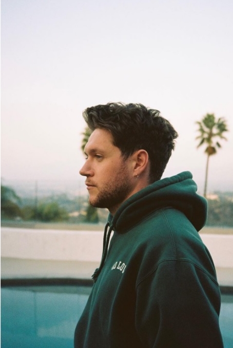 奈尔@1D狂呕惹染疫疑云  引发机上乘客恐慌