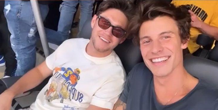 奈尔@1D狂呕惹染疫疑云  引发机上乘客恐慌