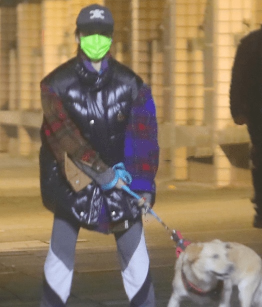 寒风中独自遛狗  萧亚轩自侃狗奴 