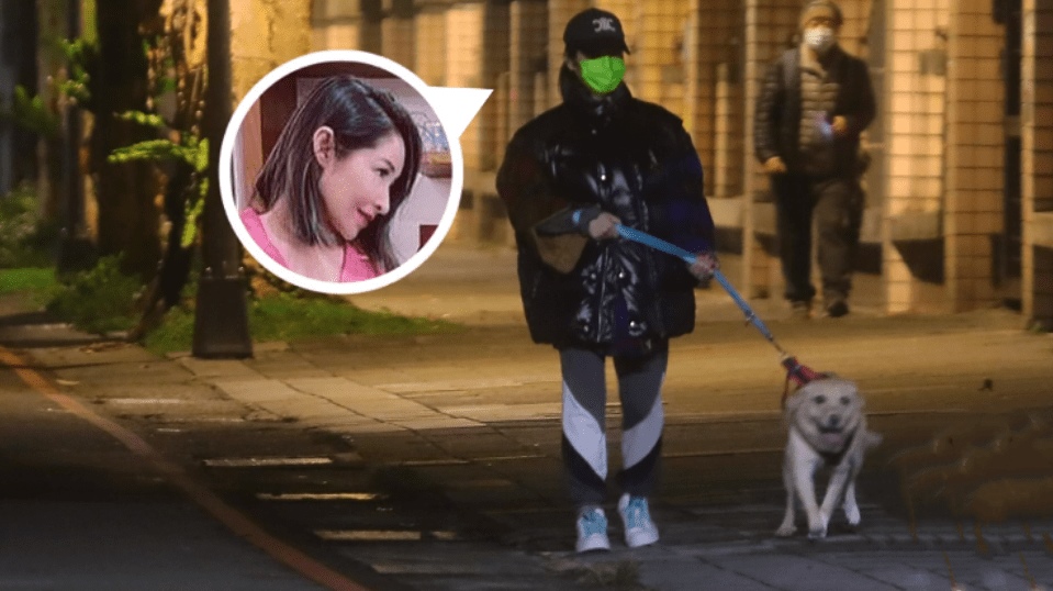 寒风中独自遛狗  萧亚轩自侃狗奴 