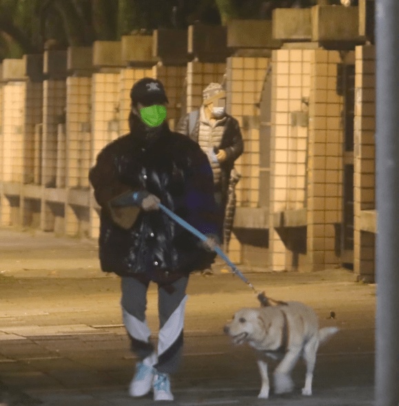 寒风中独自遛狗  萧亚轩自侃狗奴 