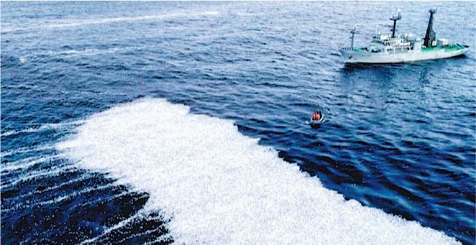 拚图）渔船故障 法海面现10万鳕鱼浮尸