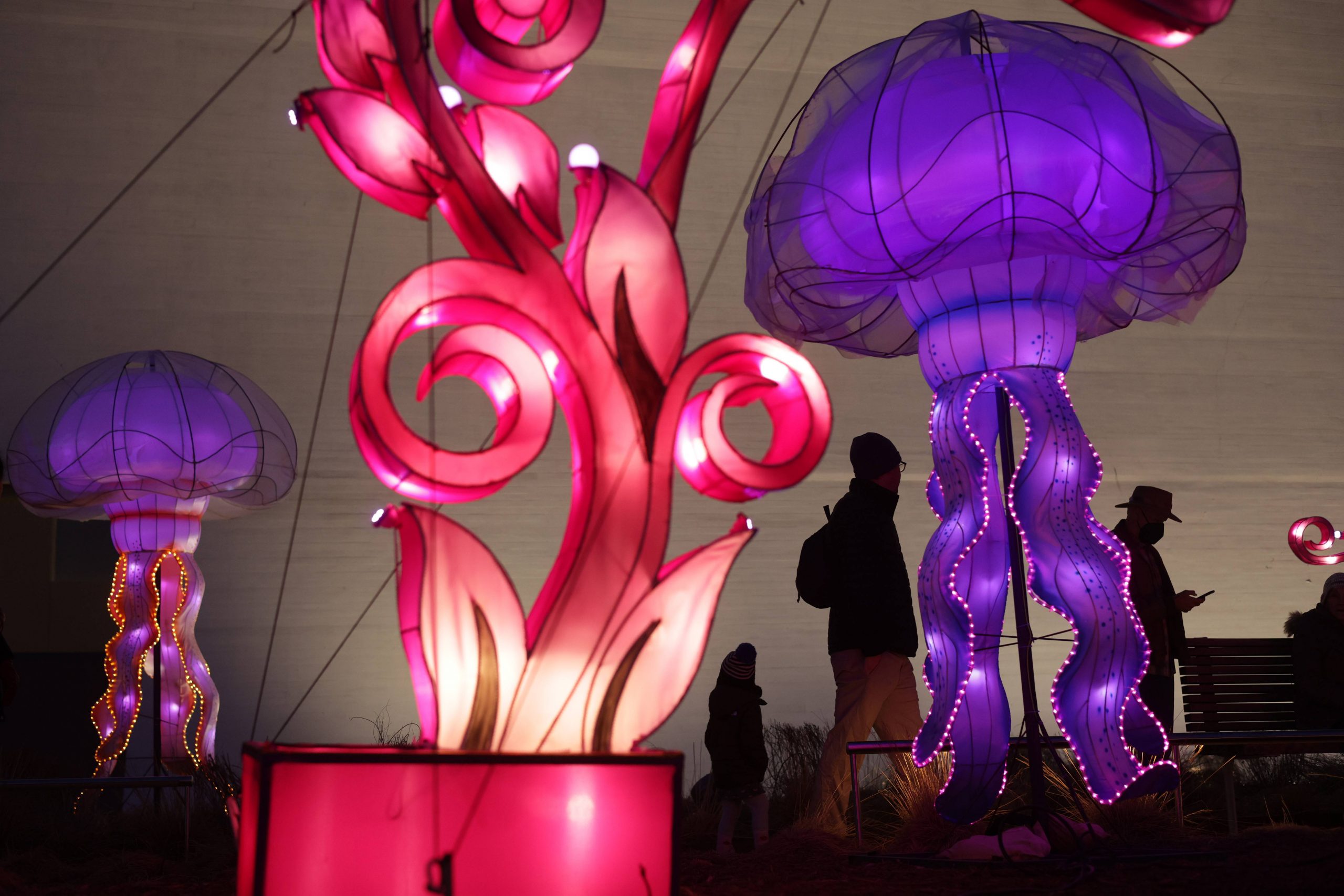 拼盘数图   华盛顿新年彩灯迎新春