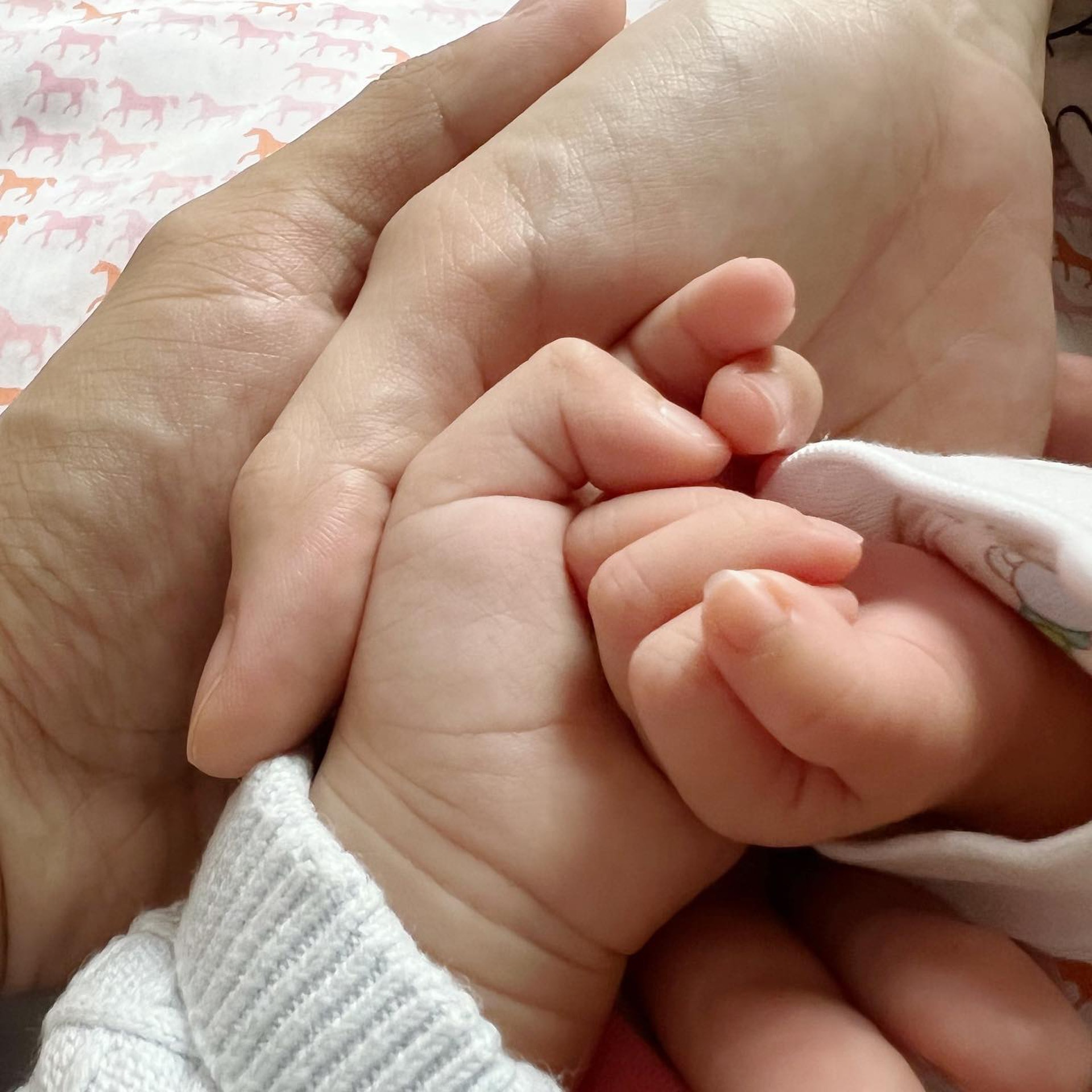 杨秀惠情人节宣布诞女 晒一家四口牵手照