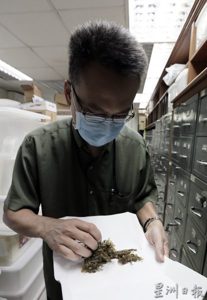 每次野外考察 植物都来迎宾