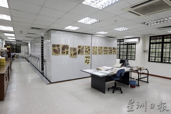 每次野外考察 植物都来迎宾