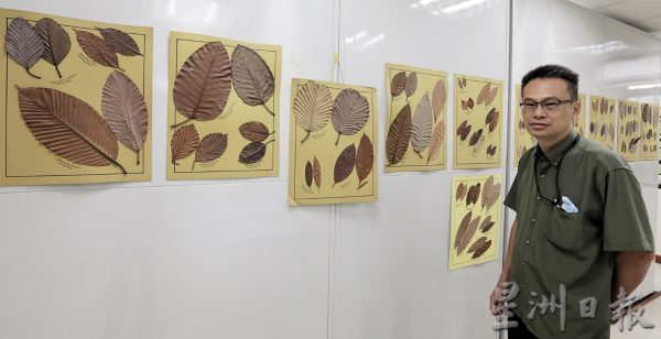 每次野外考察 植物都来迎宾