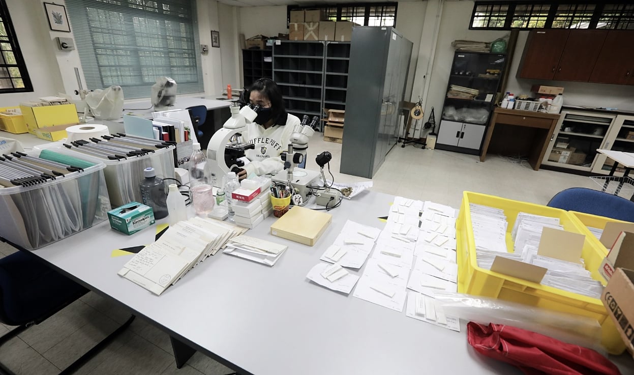 每次野外考察 植物都来迎宾