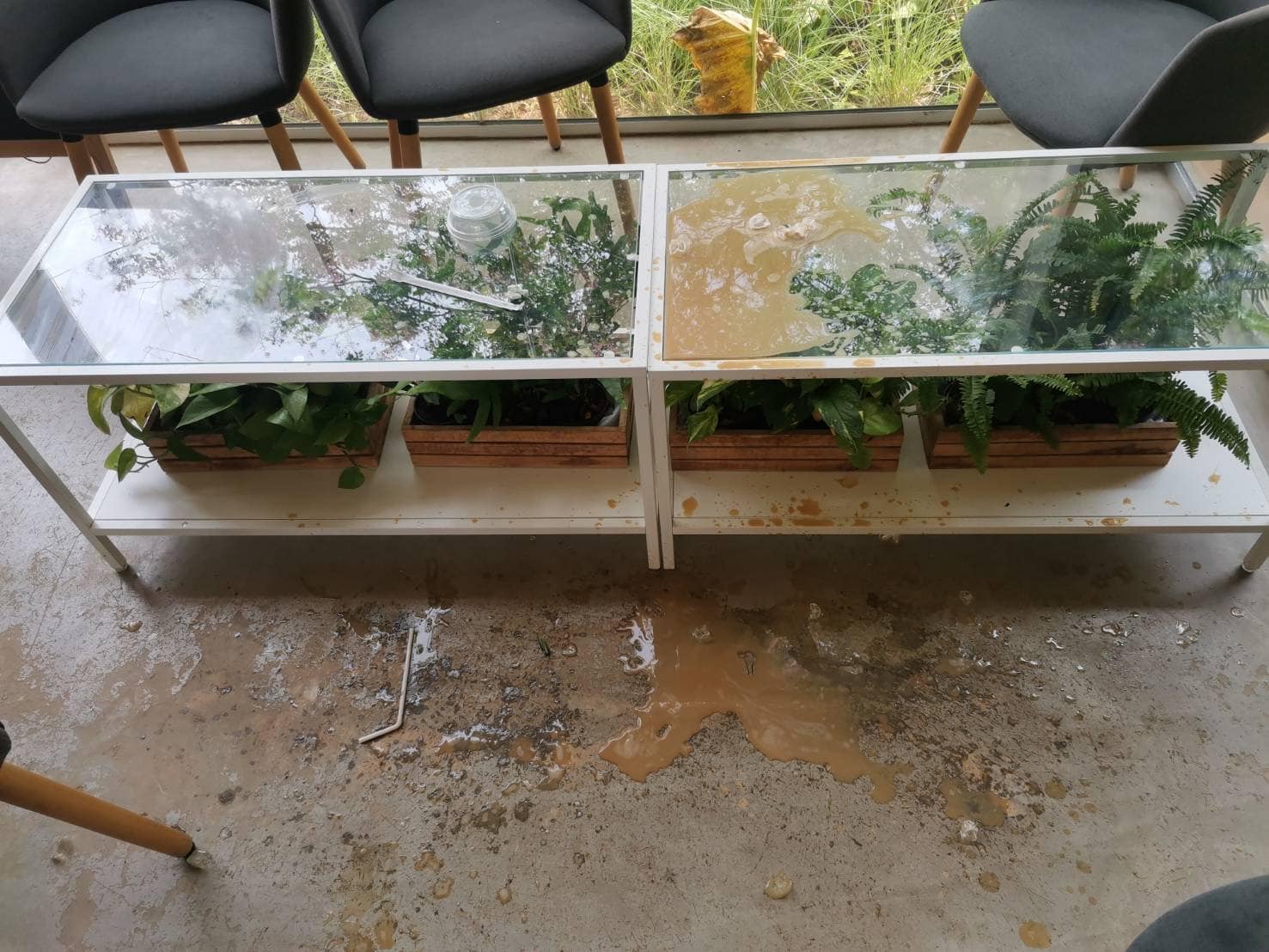 男友拍照技术太烂 女友大怒泼咖啡