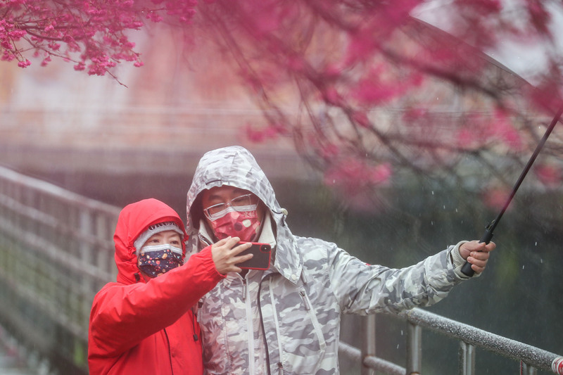 看世界)寒流冻翻台湾 一夜41人猝死