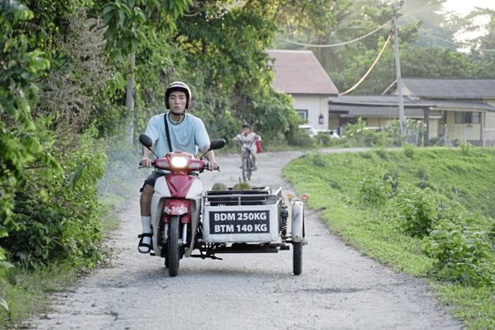 费比安/《姜味关系》《英雄假期》电影院的年味选择