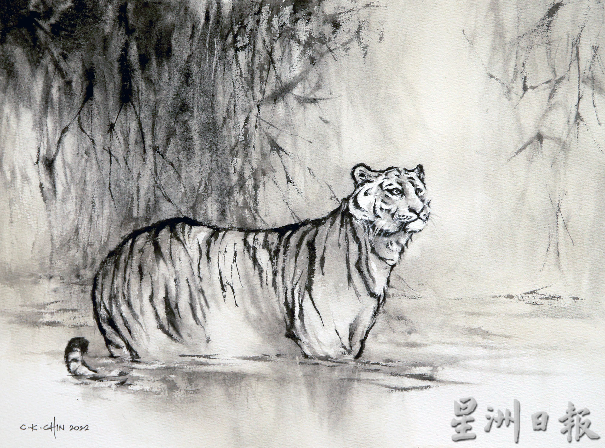 霹:新年备稿/虎年画虎