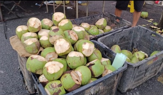 (全国版)暖势力:新邦瓜拉巴刹的椰子商贩夫妻,免费送香草椰给米都市民,让每人都可喝到新鲜的椰水防疫。