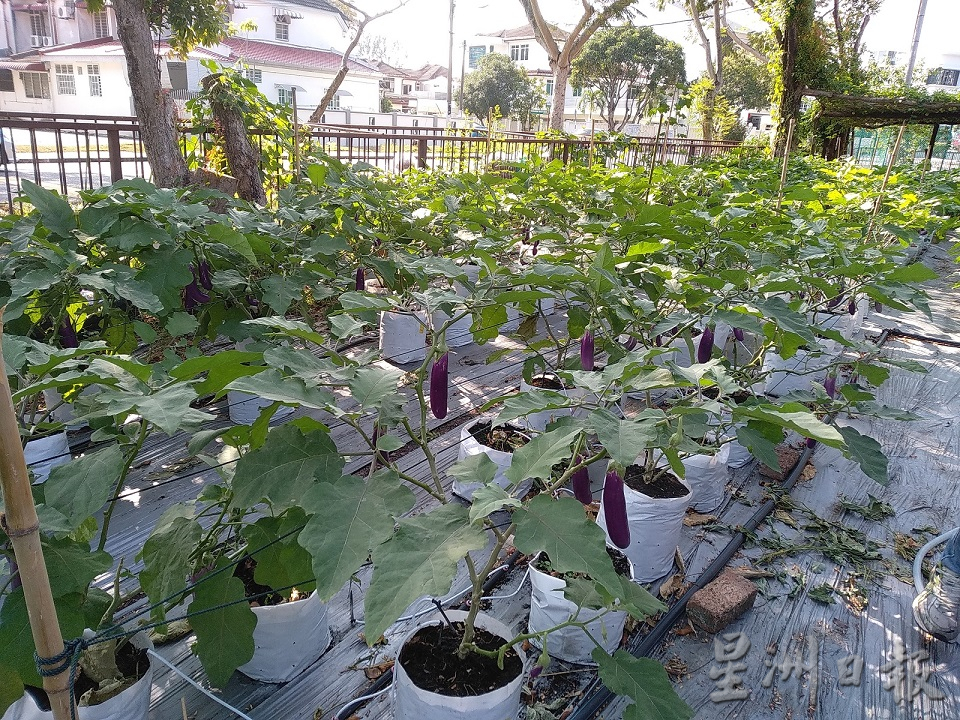 (大北马)特稿/惜福市场