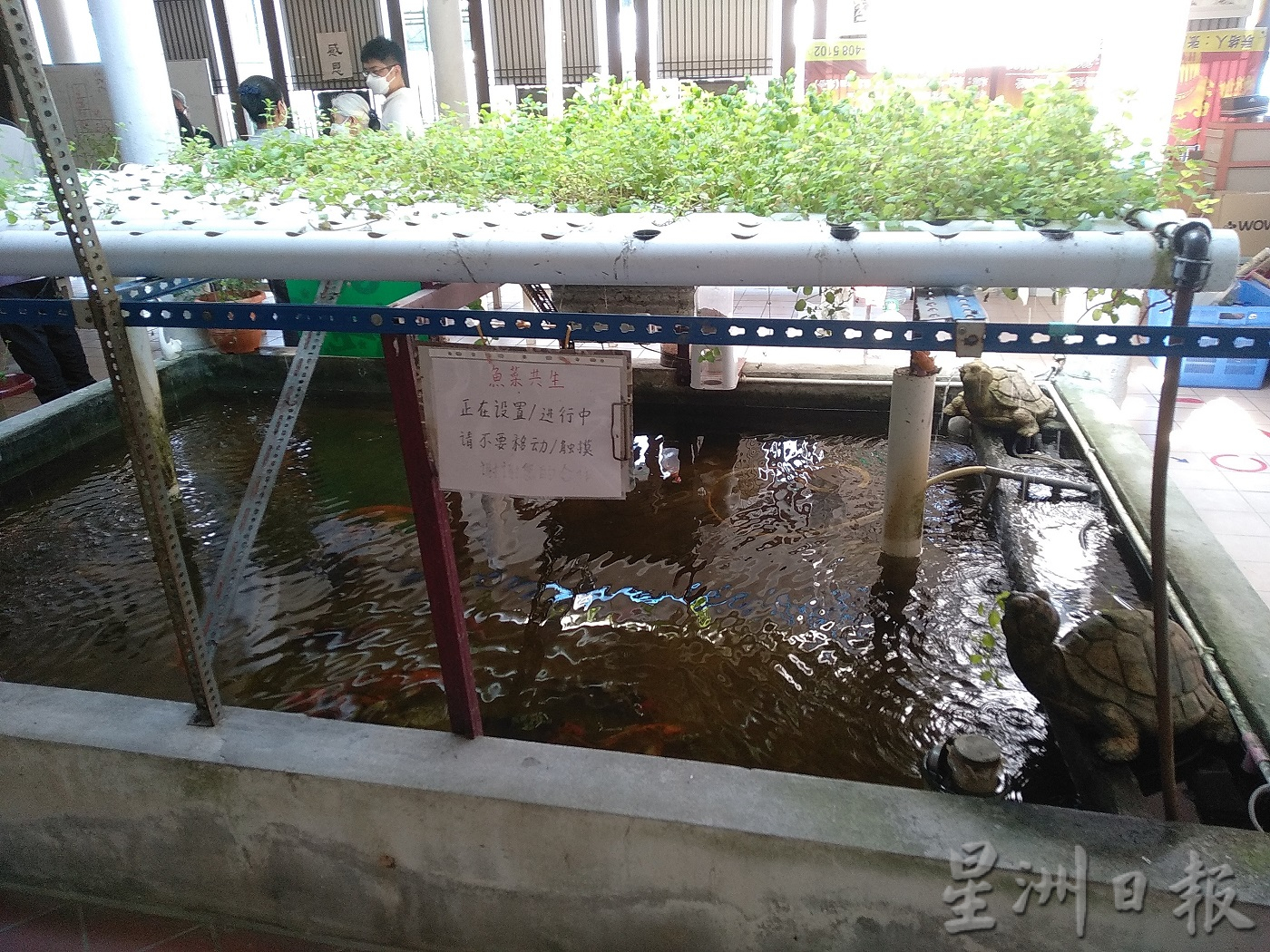 (大北马)特稿/惜福市场