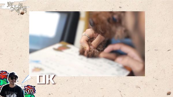 KID求婚3天后火速升格人夫 网疯猜双喜临门