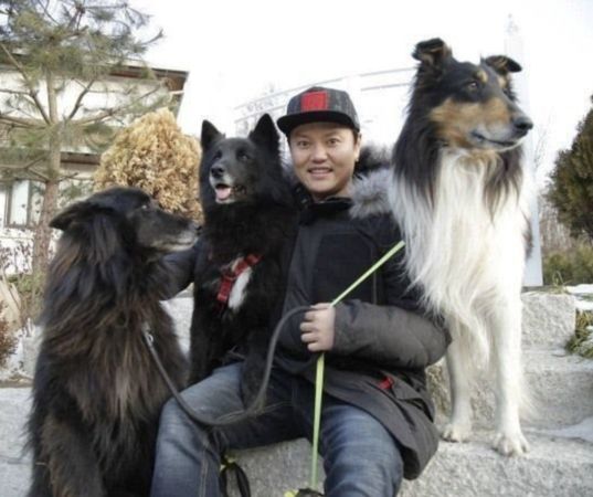 2只大型犬咬死80岁老妇 韩谐星判囚8个月