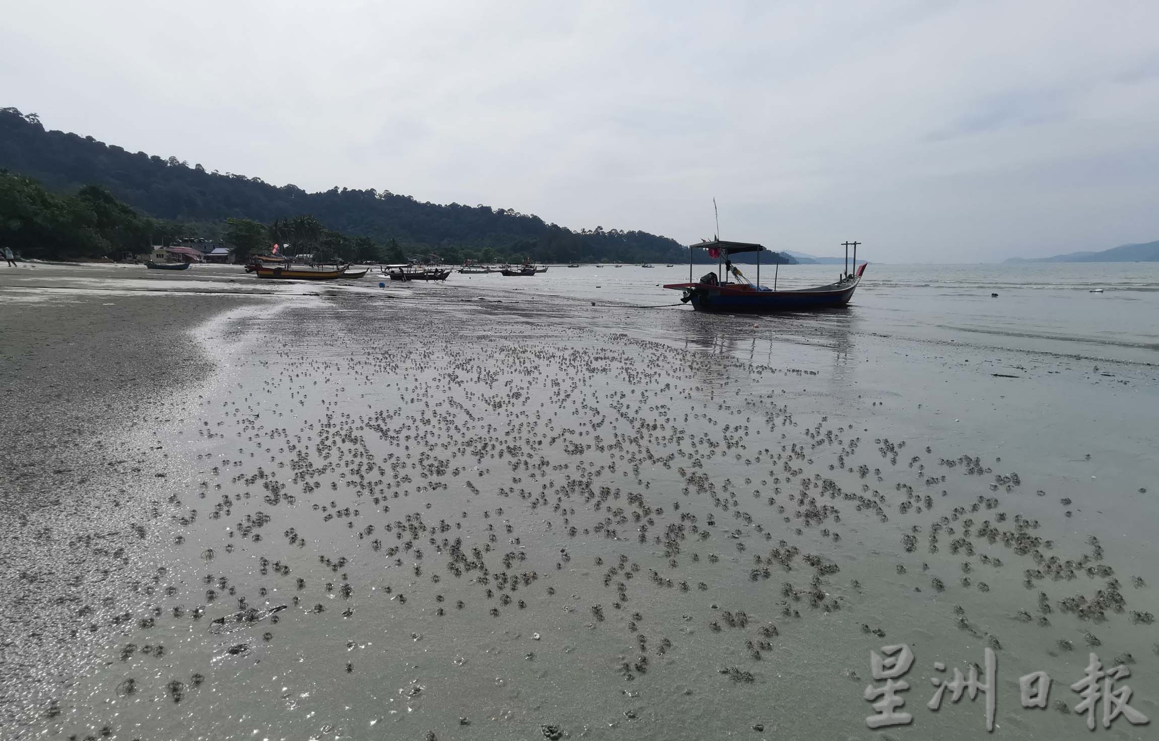 ★3月11日刊登/大霹雳封底主文/【疫游霹雳】/七湾海滩 从寂寂无闻到旅游热区
