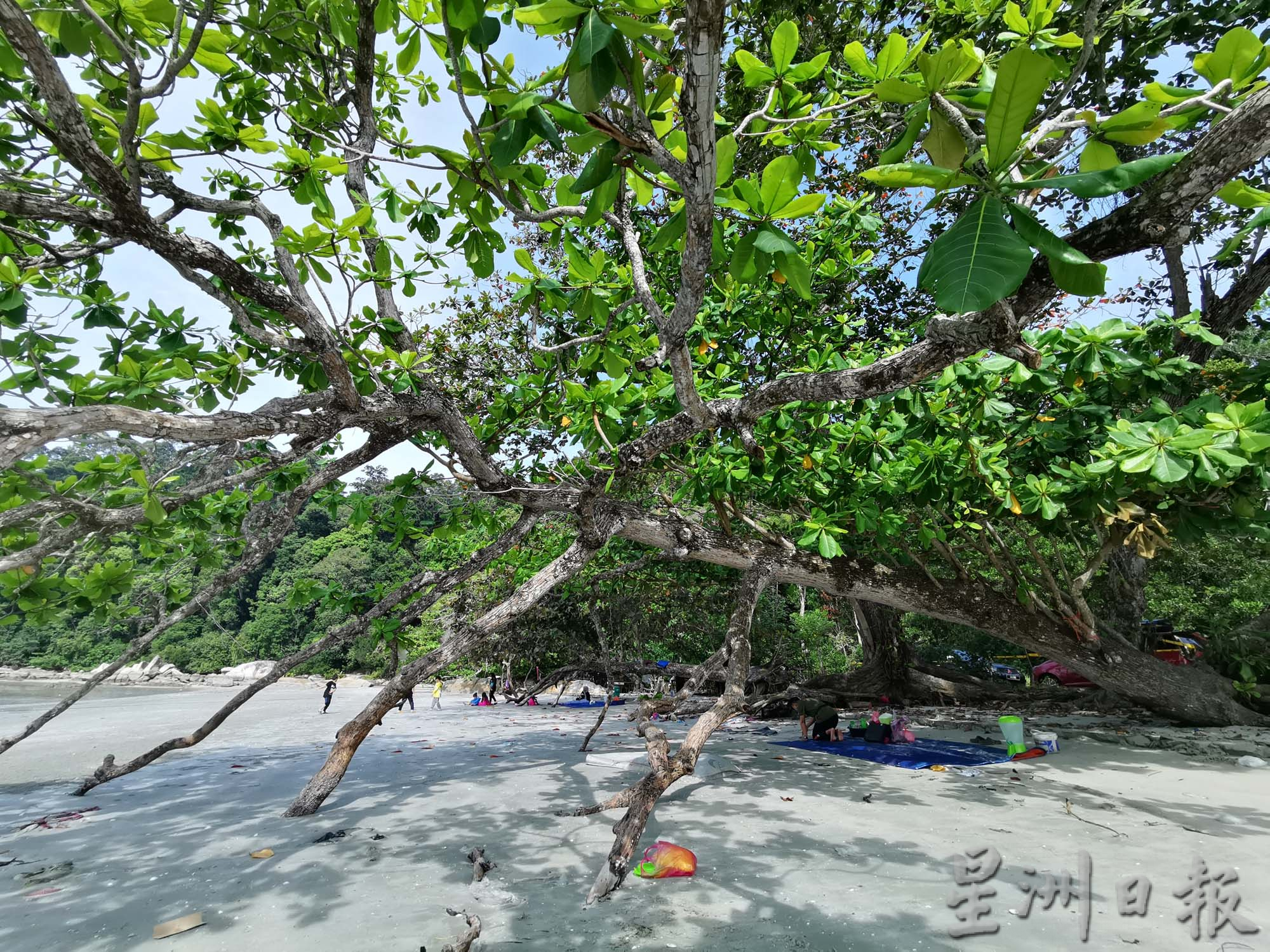 ★3月11日刊登/大霹雳封底主文/【疫游霹雳】/七湾海滩 从寂寂无闻到旅游热区