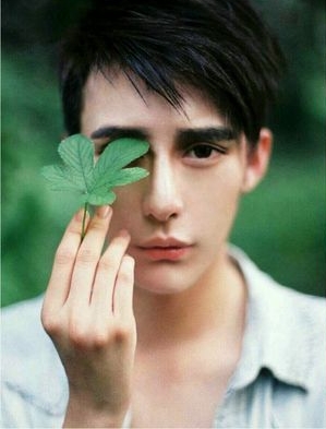 《香蜜沉沉》男星3次逆整型成功 “蛇精男变天菜”惊呆网