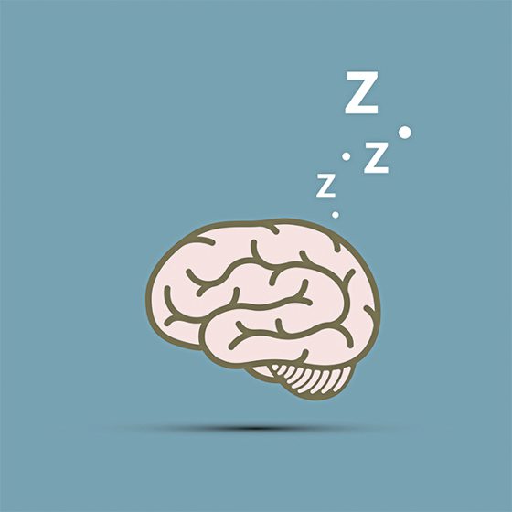 【世界睡眠日/03】当你睡著后,大脑都在忙什么?