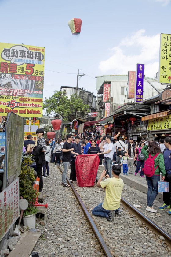 【台湾】新春游台北，花开春意浓