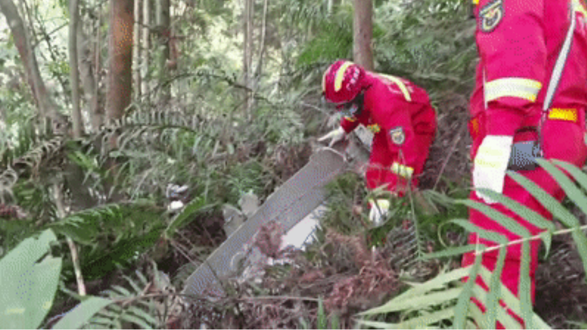 东航坠机132人仍未寻获 中国副总理刘鹤赴广西坐镇