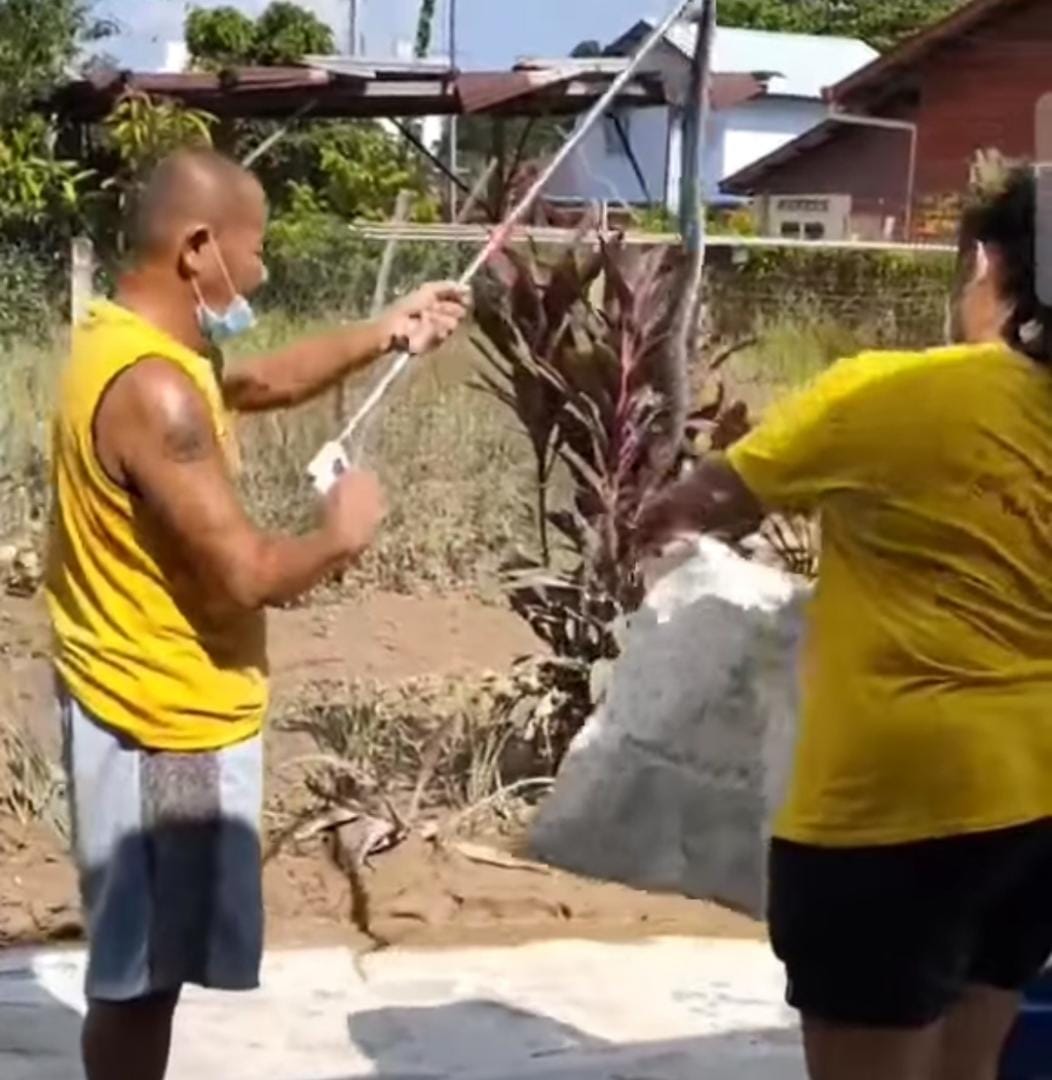 东：自愿消防队女队员捕蛇受伤