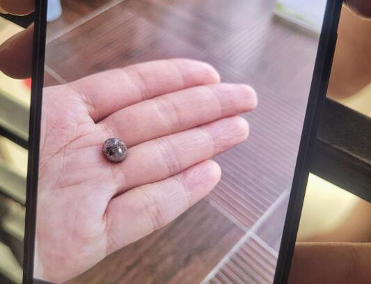 义顺组屋神秘客恶搞　小铁球射破9户玻璃窗