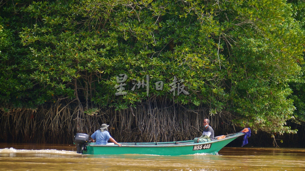 供星洲网：波德申无可发展土地，州政府料施“填海计划”；朱建华：言之过早