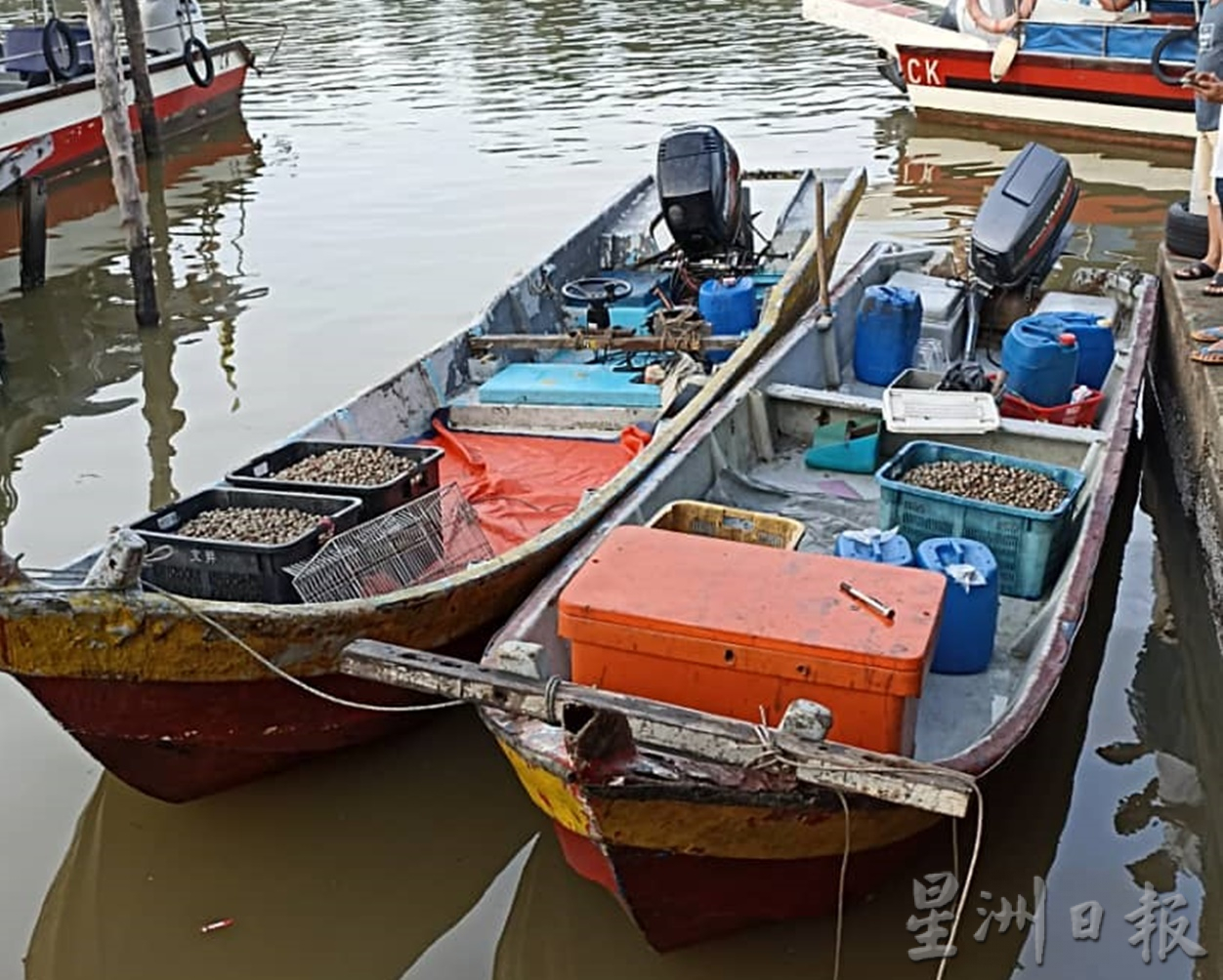 偷蚶贼猖狂被发现 还驾船欲撞养蚶者
