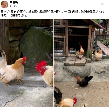 台媒曝大S今天登记 S妈发文怼:管不了你的爱