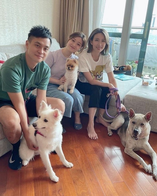 和陈展鹏一样被拖欠酬劳 姚子羚疫下收入减靠积蓄度日