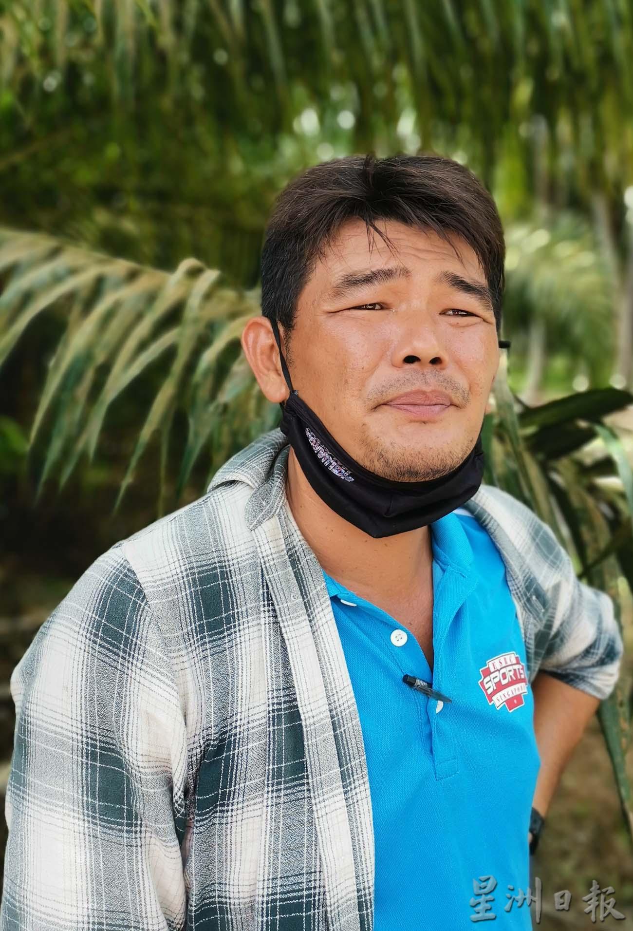 大霹雳时事焦点/油棕果有价 “打工皇帝”获贴心服侍