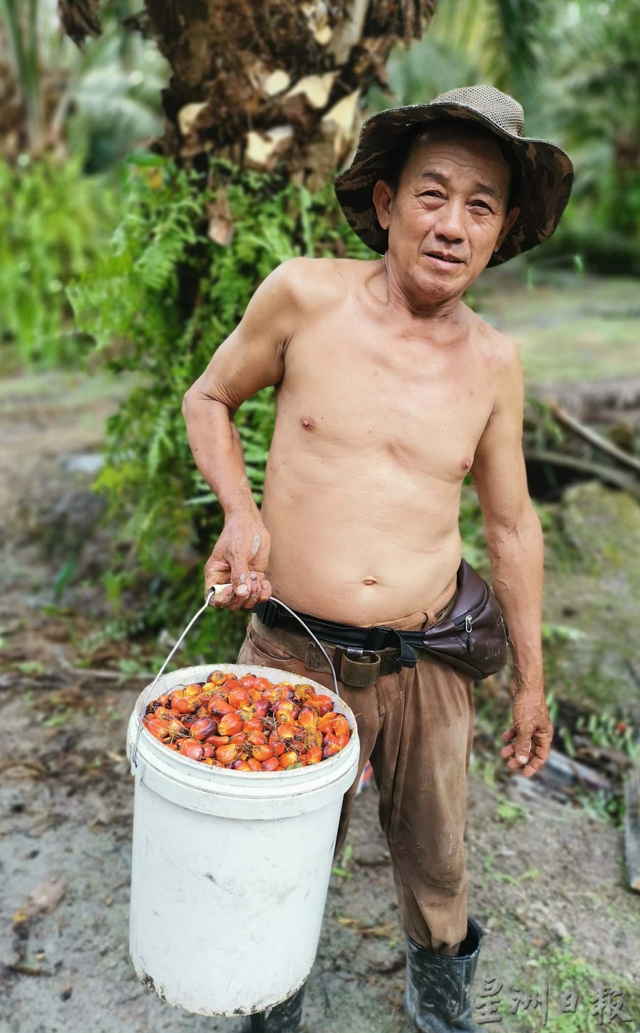 大霹雳时事焦点/油棕果有价 “打工皇帝”获贴心服侍