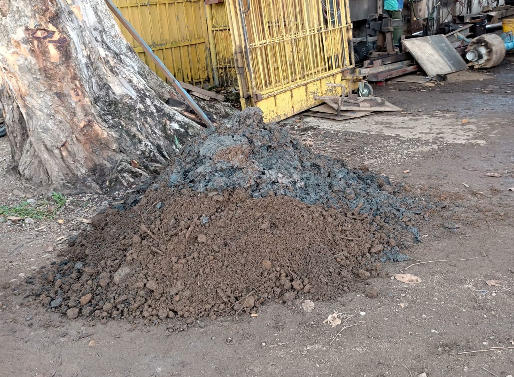 妨碍清理淤泥堆积 违建沟盖酿水灾