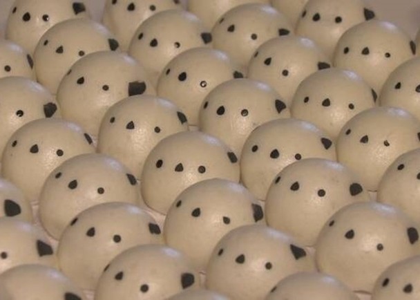 拼盘2图/雪之妖精馒头萌度十足 助宣传钏路市