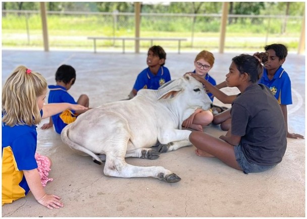 拼盘/闯校园撒娇求抱抱 成师生宠儿